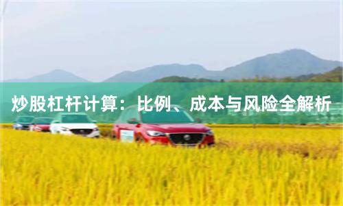 炒股杠杆计算：比例、成本与风险全解析